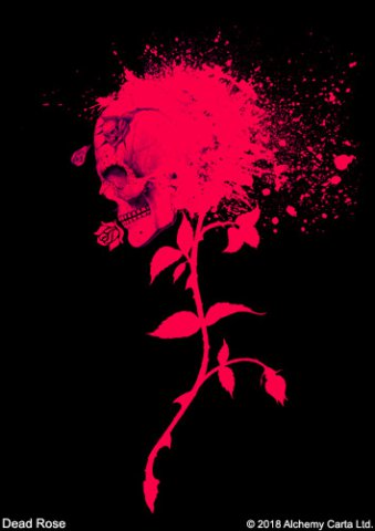 Dead Rose (CA944)